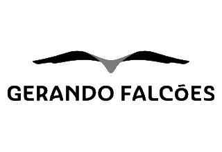 Gerando Falcões